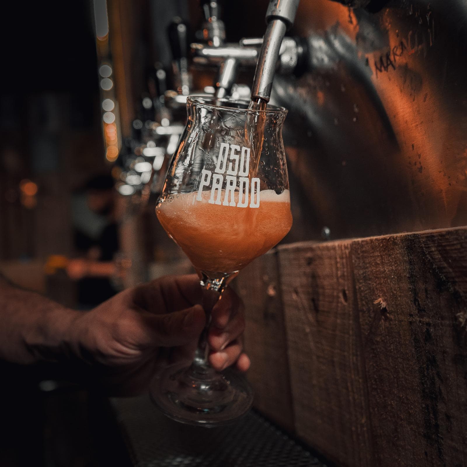 Canillas con copa de Oso Pardo